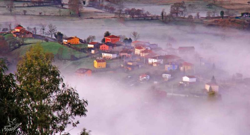 resurgiendo de entre la niebla ya de vuelta.jpg